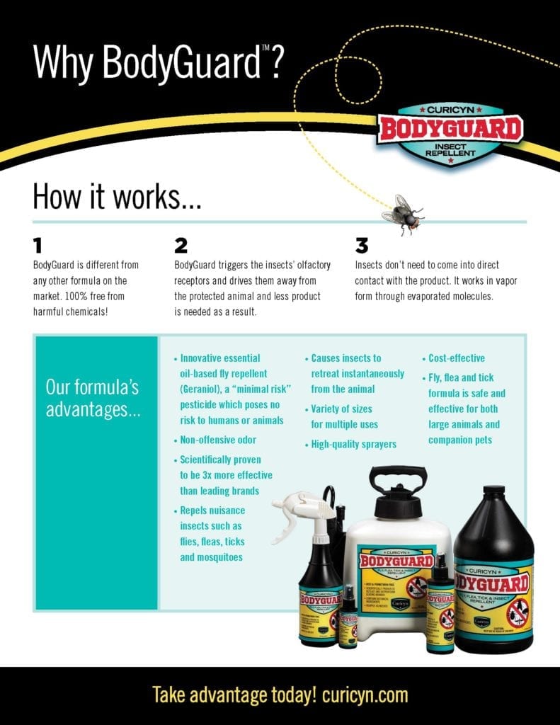 BodyGuard Fly Spray