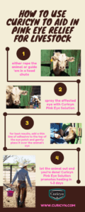 How to use Curicyn to aid in Pink Eye relief