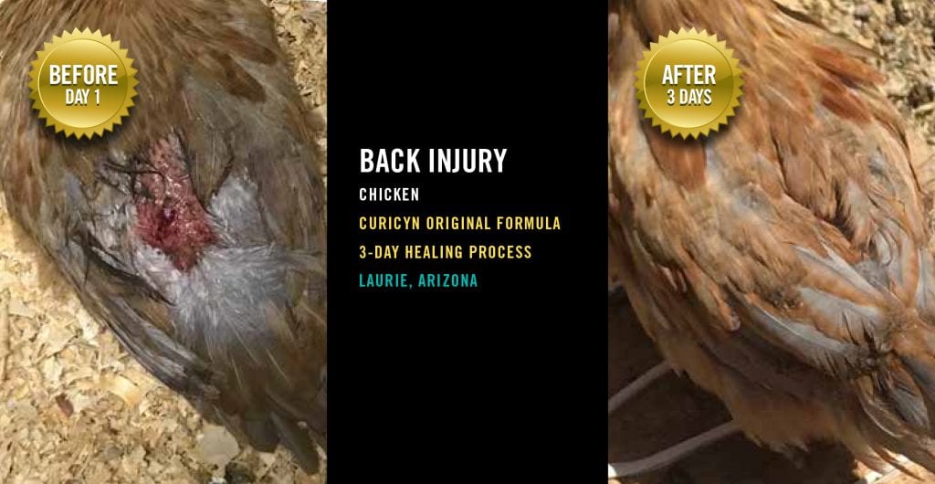 Testimonials: Back Injury