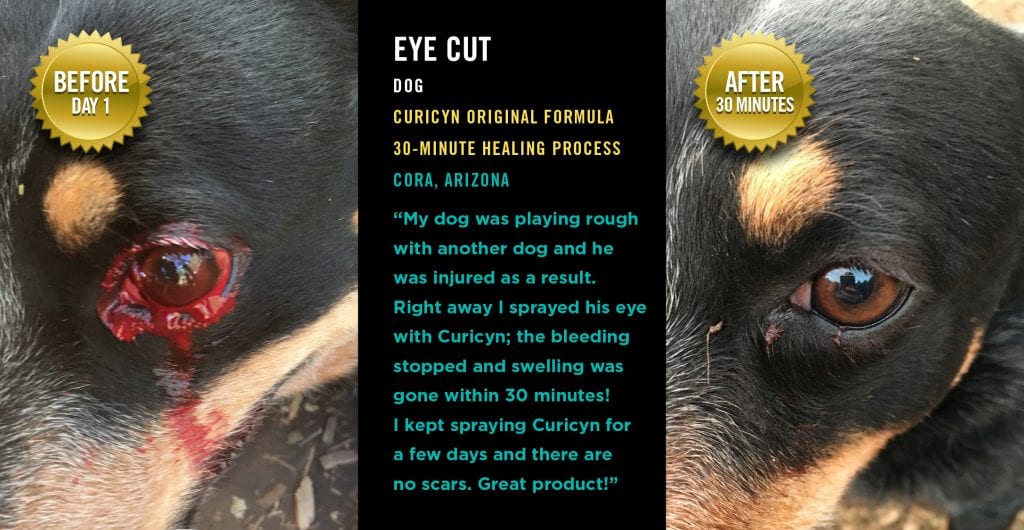 Testimonials: Eye Cut
