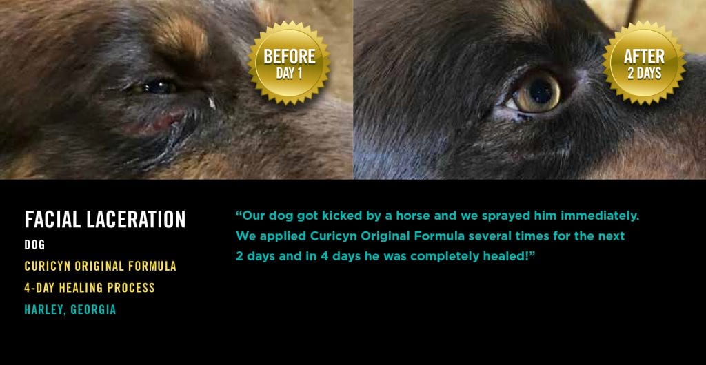 Testimonials: Face Laceration