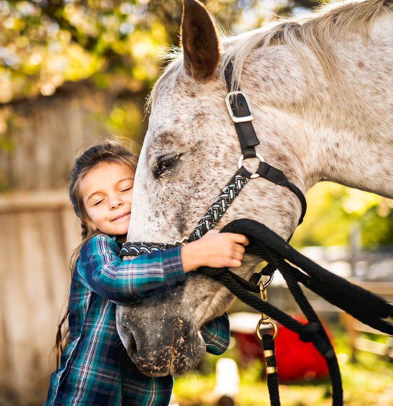 little-girl-with-horse