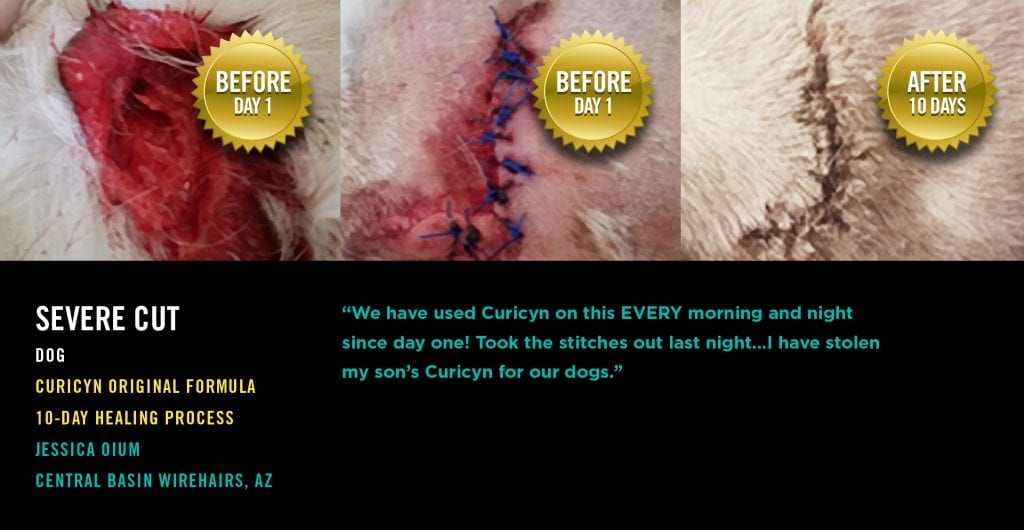 Testimonials: Severe Cut