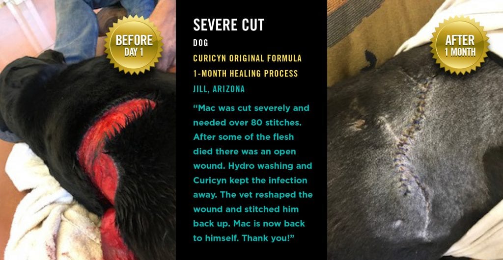 Severe Cut