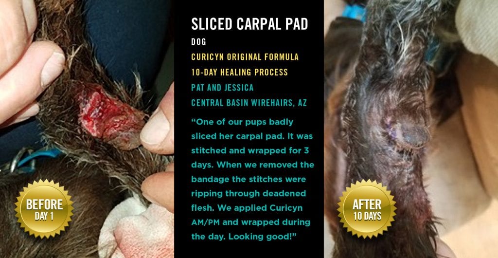 Testimonials: Sliced Carpal Pad