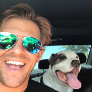 12 Reasons to adopt a shelter dog