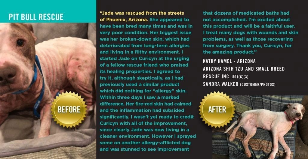 Testimonials: Pitbull Rescue