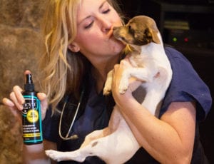 Curicyn helping animals