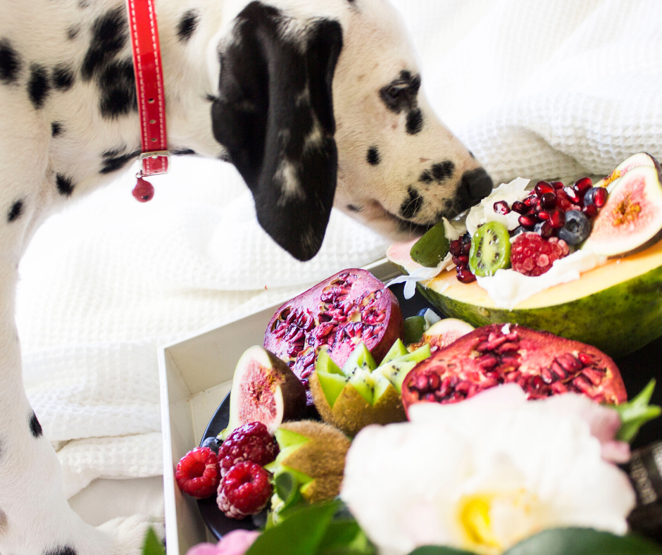 What table foods are bad for dogs?