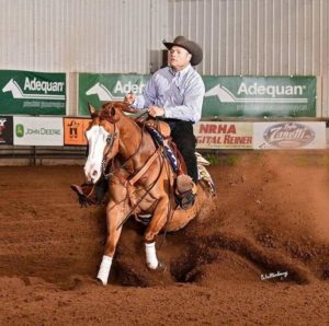 Caseperformance horses